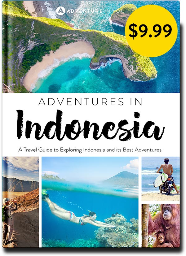 indonesia tour guide book