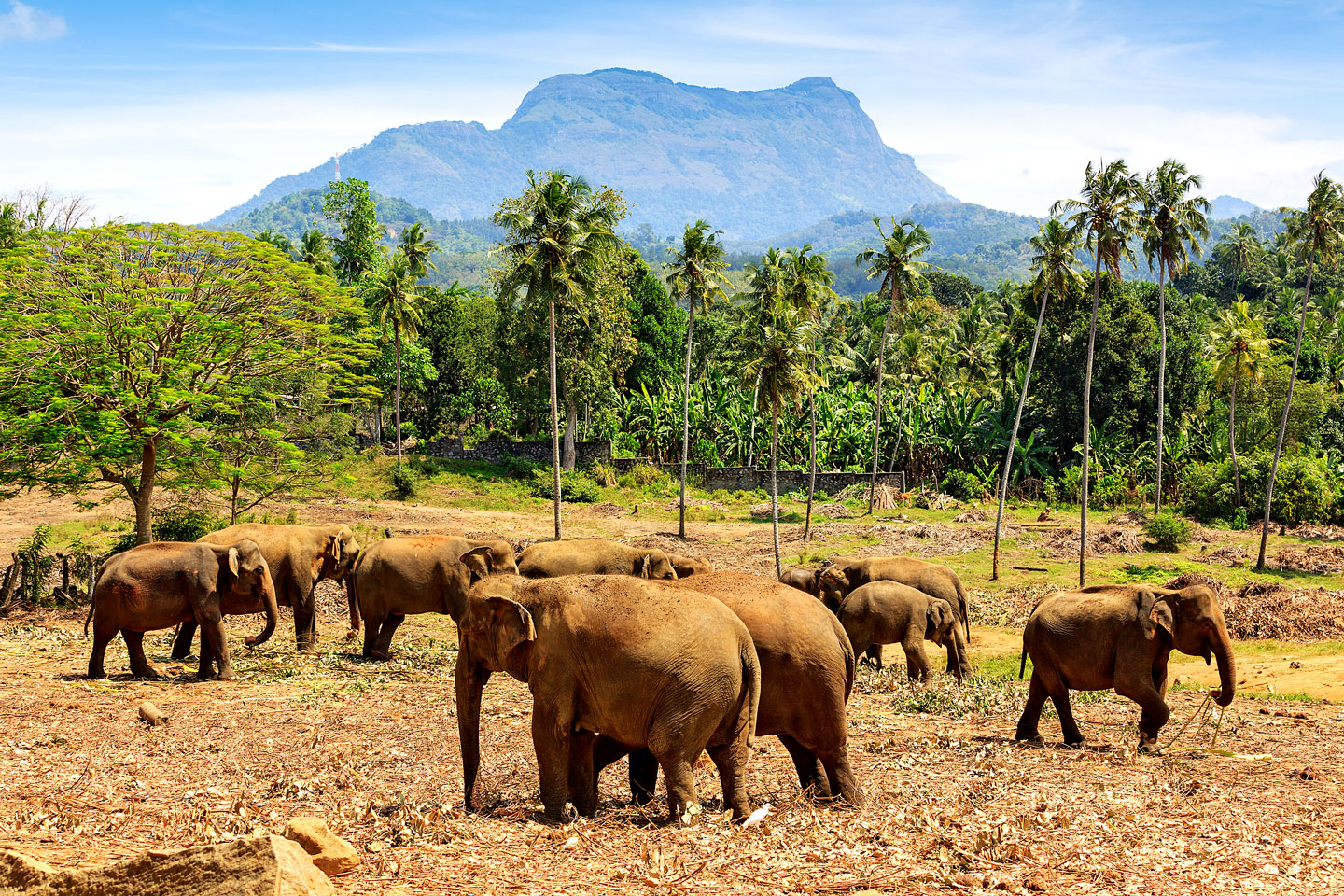 best-adventures-sri-lanka-wildlife