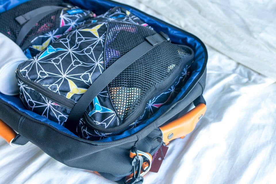 standard bag luggage review