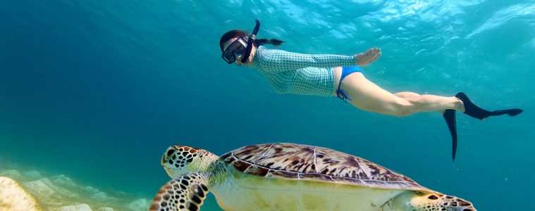 snorkeling underwater asia turtle