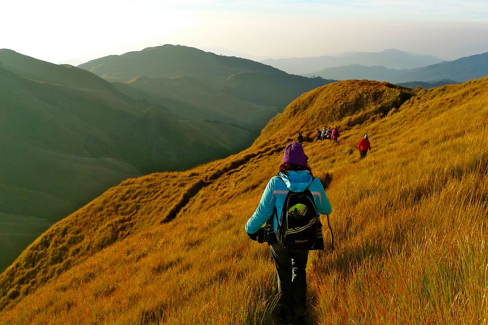 mount pulag trek tour