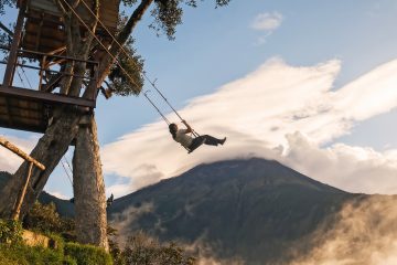 A woman on a tree swing on top of a mountain