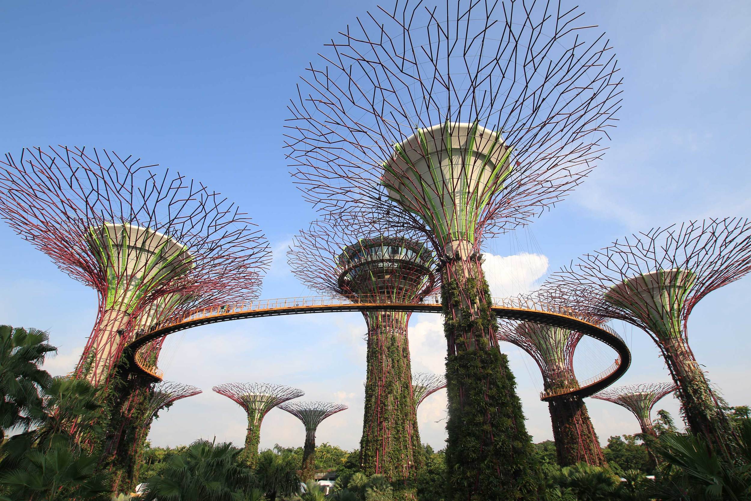 Singapore Travel Tips: A Complete Guide to the Country