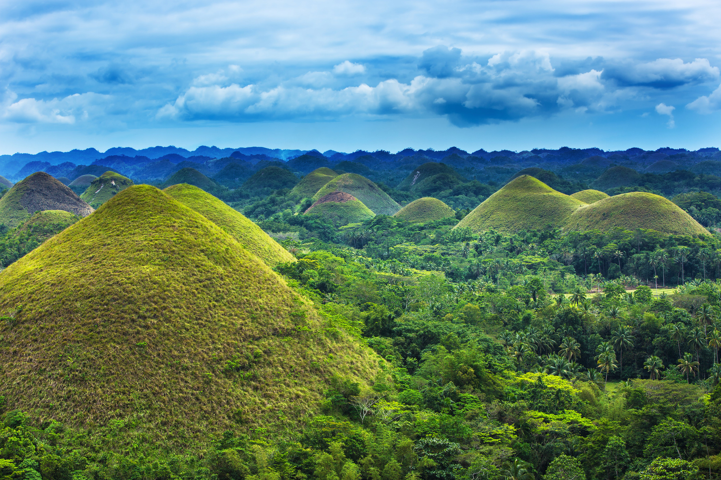 Image result for bohol