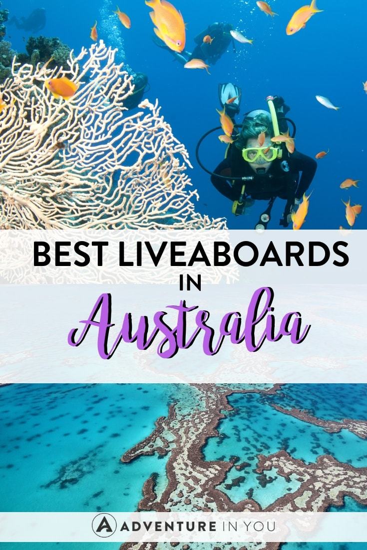 Australia Diving | Want to go diving in Australia? Check out the best liveaboard boats for the ultimate diving experience #australia #liveaboard #scubadiving