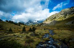 mountains with trees and stream in the pyrenees mountains in spain