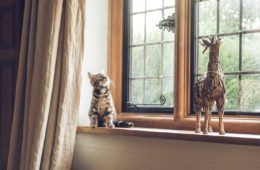 cat sitting on window sill next to toy giraffe
