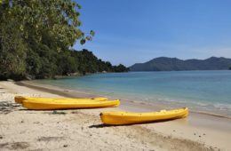 Two yellow sea kayak on the shore
